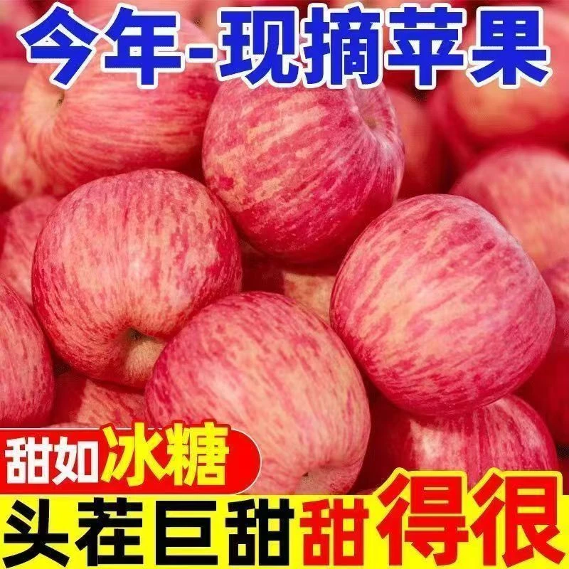 正宗冰糖心红富士苹果当季新鲜脆甜多汁水果
