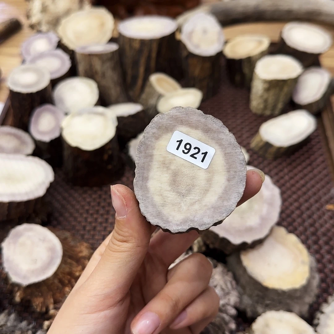 手串/手链鹿骨1921片