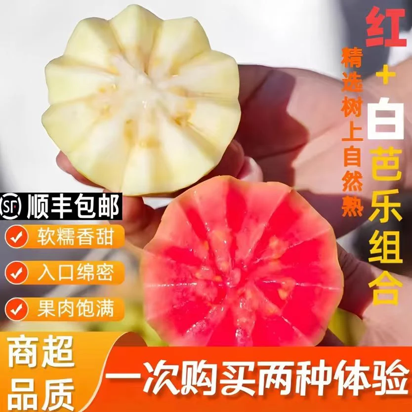 【顺丰包邮】广西奶油芭乐冰淇淋芭乐新鲜红心白心双拼芭乐软糯香甜