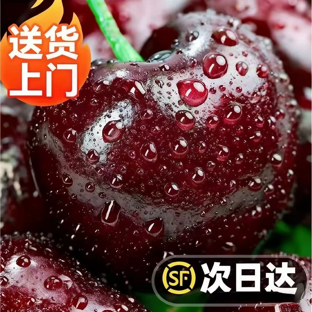 3JDD黑车果王5斤净重【今天拍明天到】智利海运进口车厘子新鲜水果脆甜多汁内附果径卡桑提娜樱桃智利共和国