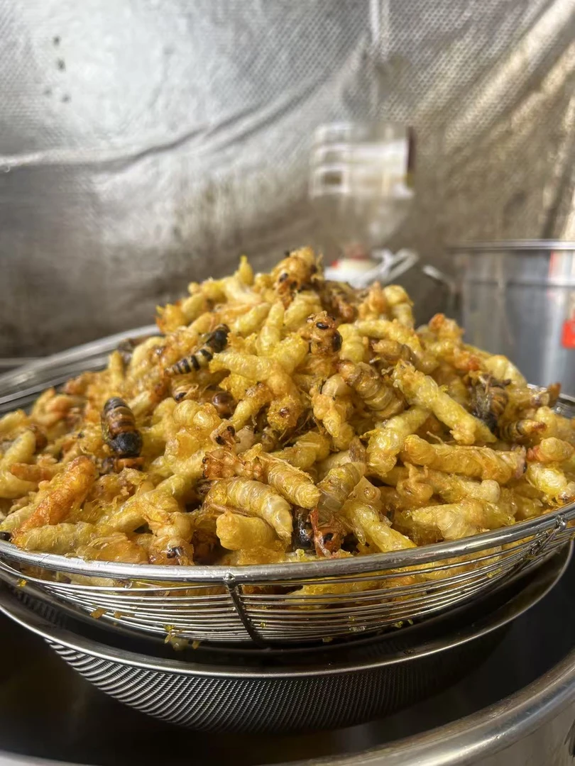 金环虎头蜂  123级挑除内脏没有瑕疵