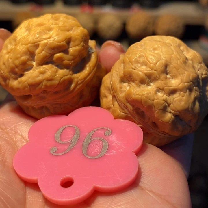 木质类古龙金蟾37尺寸