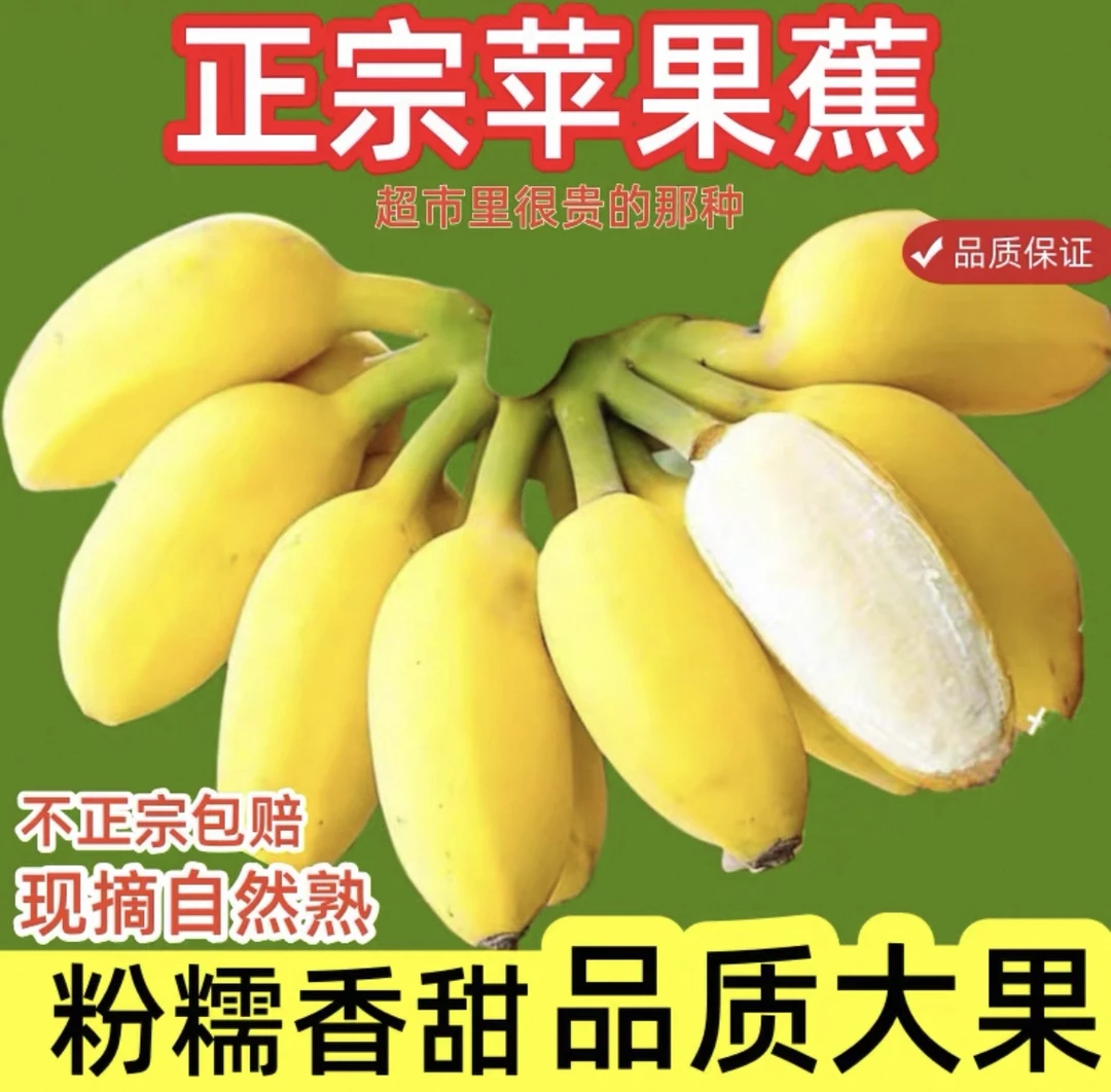 广西正宗苹果蕉产地直发口感软糯应季新鲜