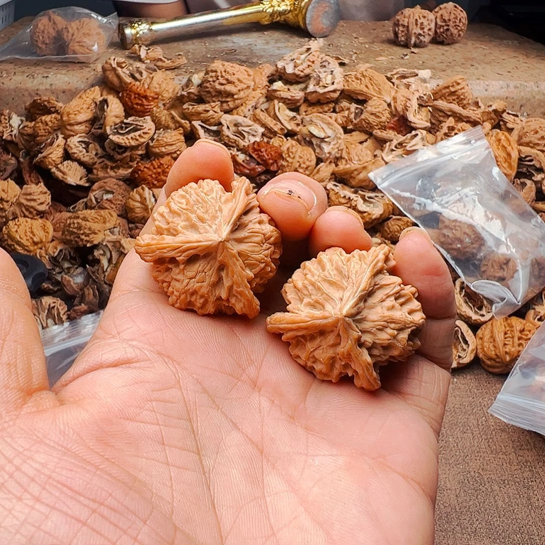 蚝****吊坠桃核37全品三棱