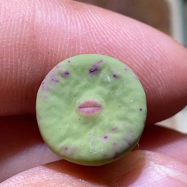 撅撅dows嘴开播福利