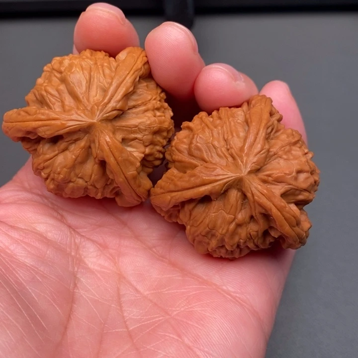 不***醉木质类核桃核桃核桃