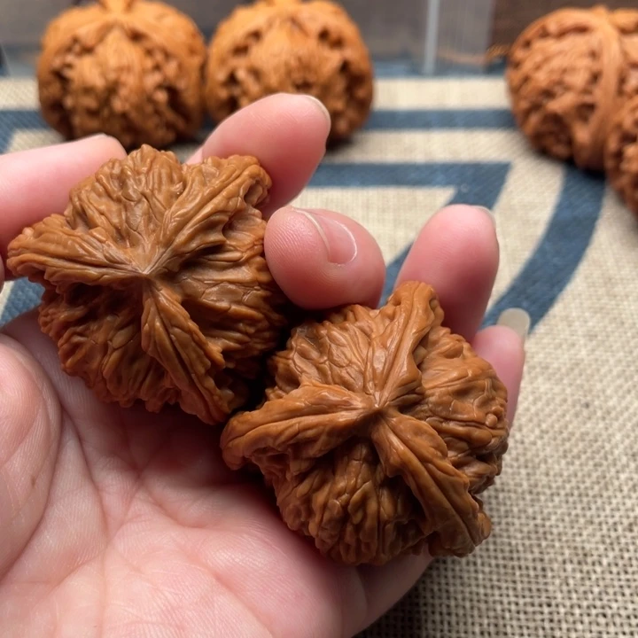 曲***散核桃白狮子41核桃