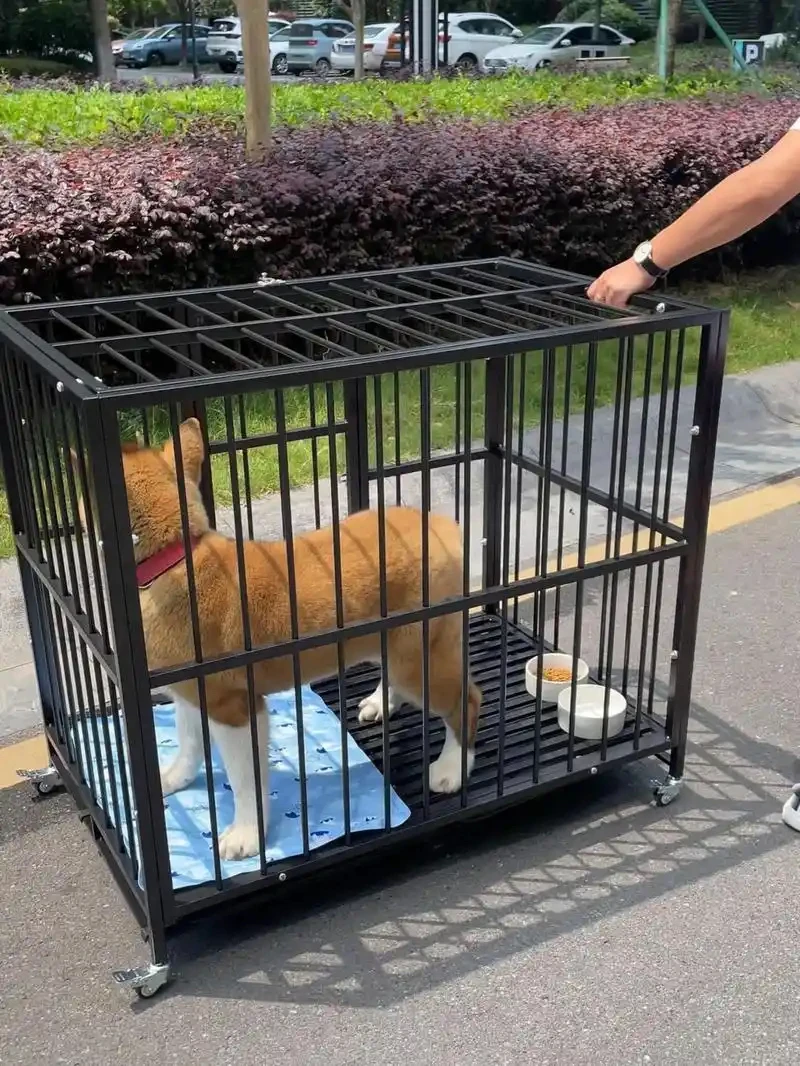 中大型犬带厕所狗笼家用室内外适用金毛拉布拉多宠物房