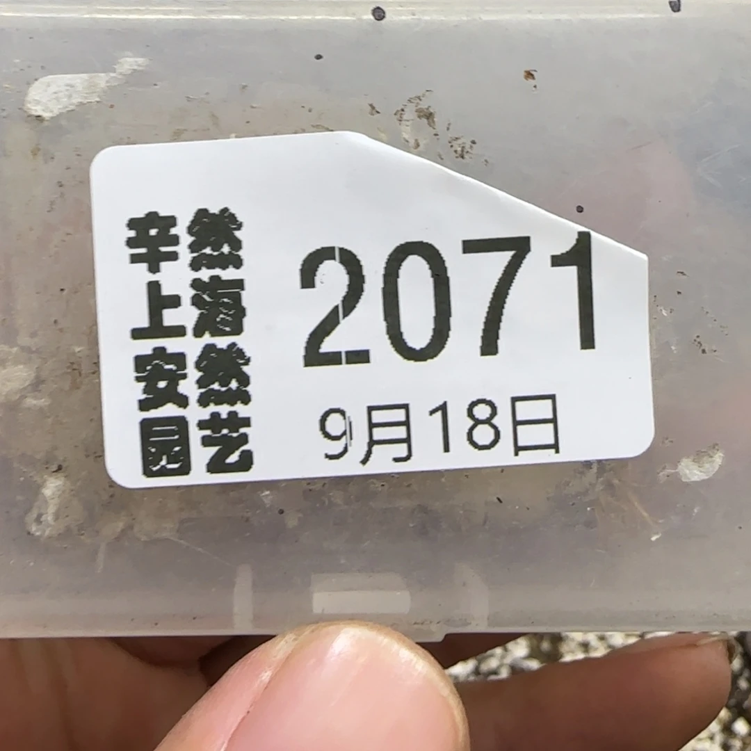唐***唐9.18。  清框福利6。  2071