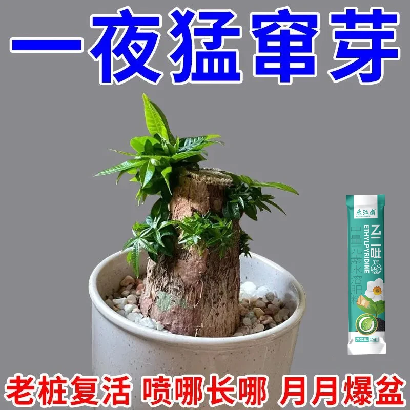 一喷猛出芽】老桩催芽剂水溶促芽僵苗快速发新芽放黄叶营养复活肥