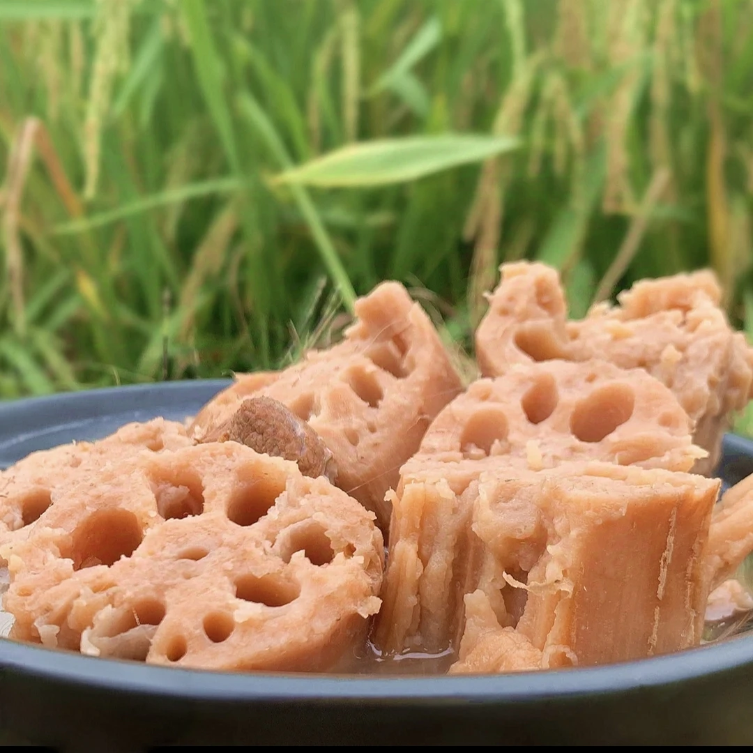 洪湖煲汤粉藕细长品种现挖排骨汤现发湖北特产煲汤粉藕莲藕