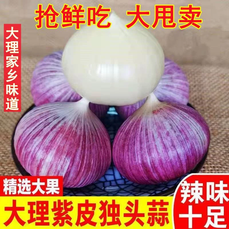 【独头蒜】2025云南紫皮独头蒜新鲜大蒜头现挖湿蒜