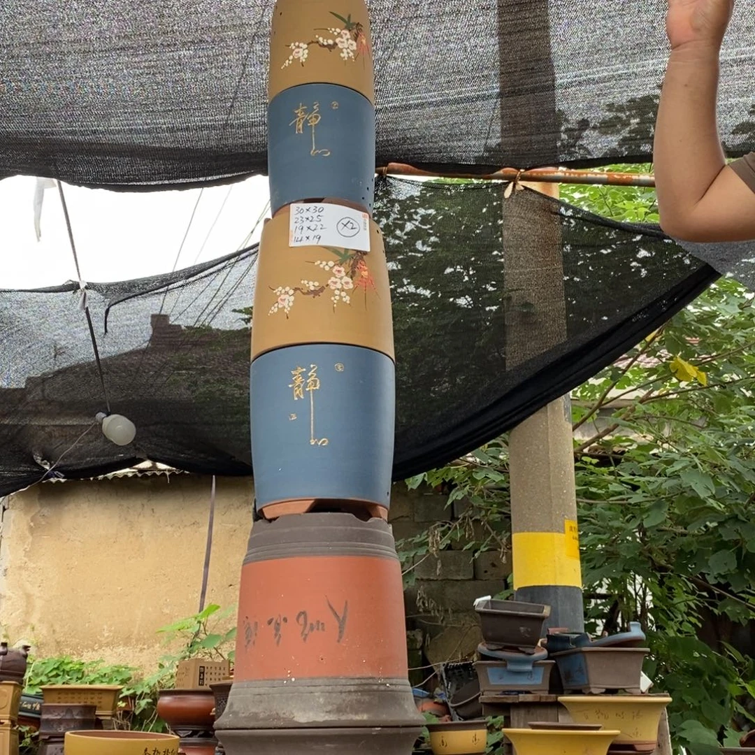 紫砂紫砂紫砂紫砂紫砂