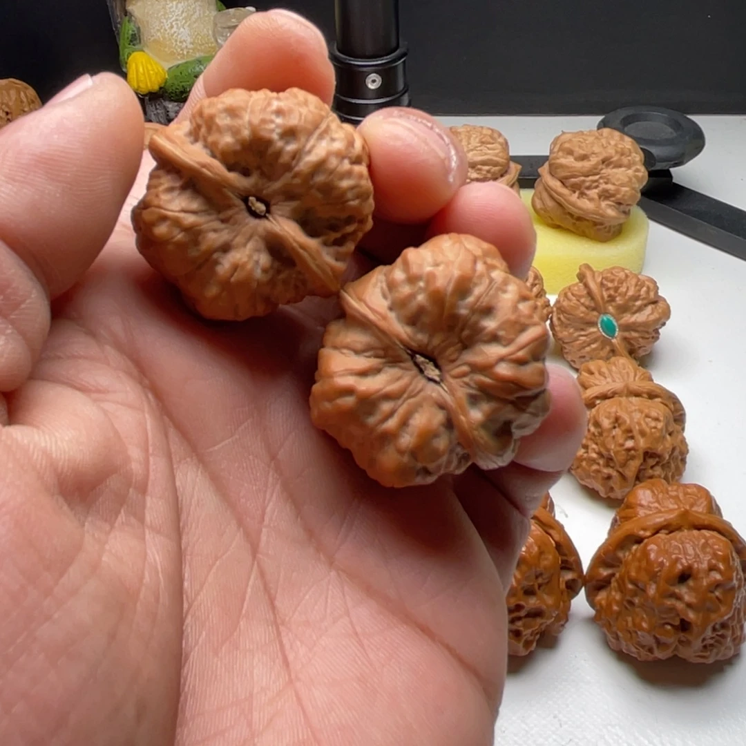 张***子核桃蛤蟆头核桃 34