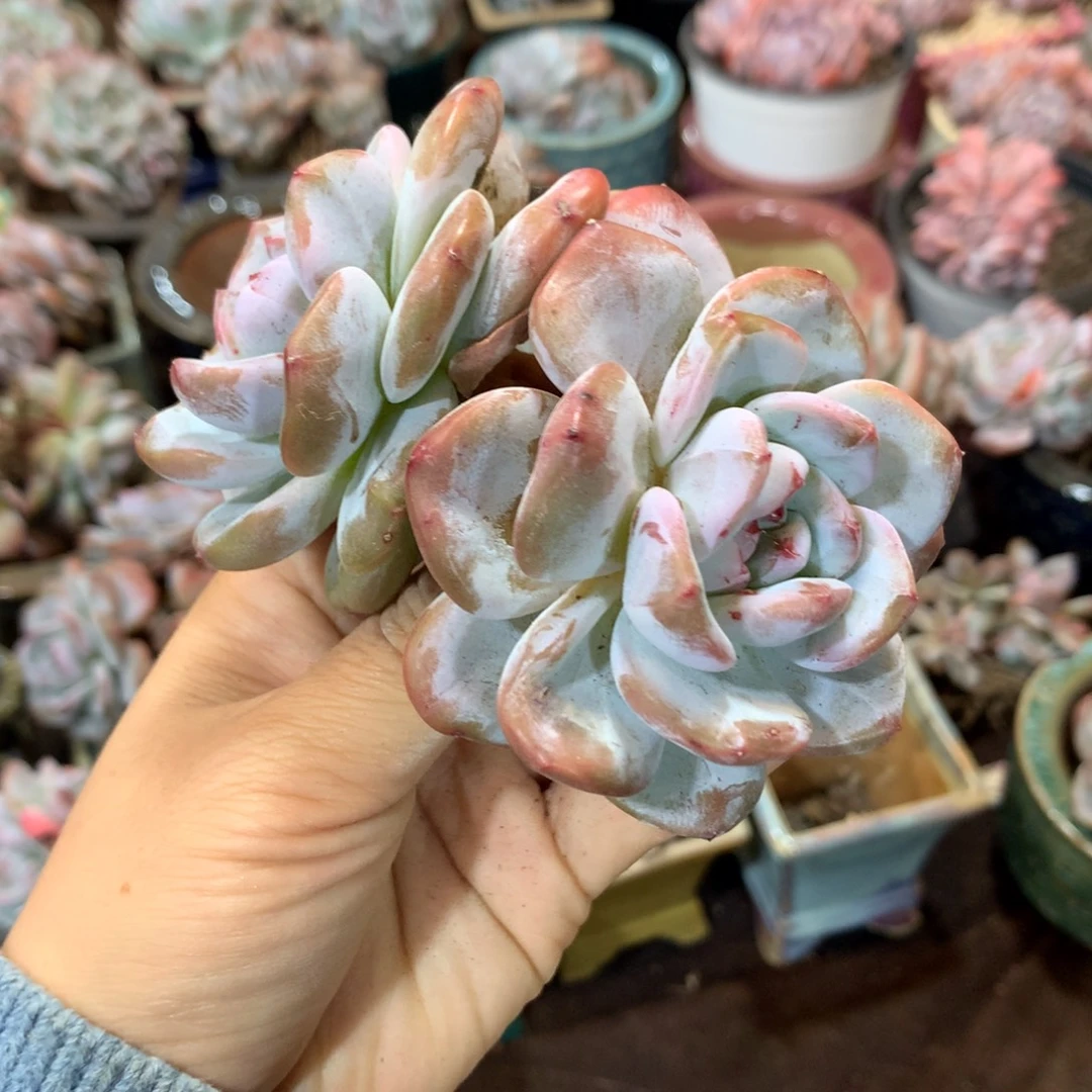 哈哈哈哈哈哈哈哈哈哈哈