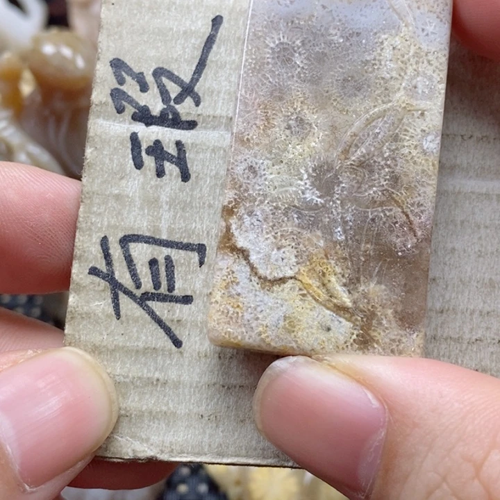 硅化珊瑚（珊瑚玉）颈饰未镶嵌伟*伟