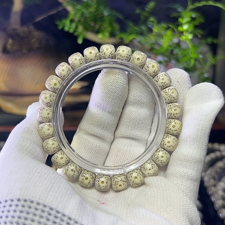 锅***龙星月菩提手串海南原生态