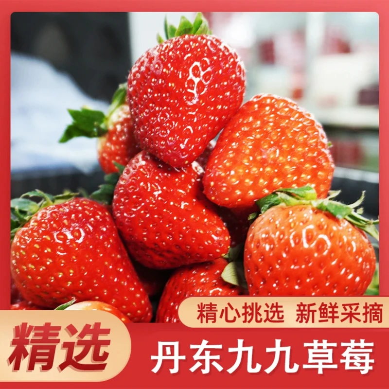 【丹东九九草莓】现摘红颜奶油产地新鲜大果特大果包邮