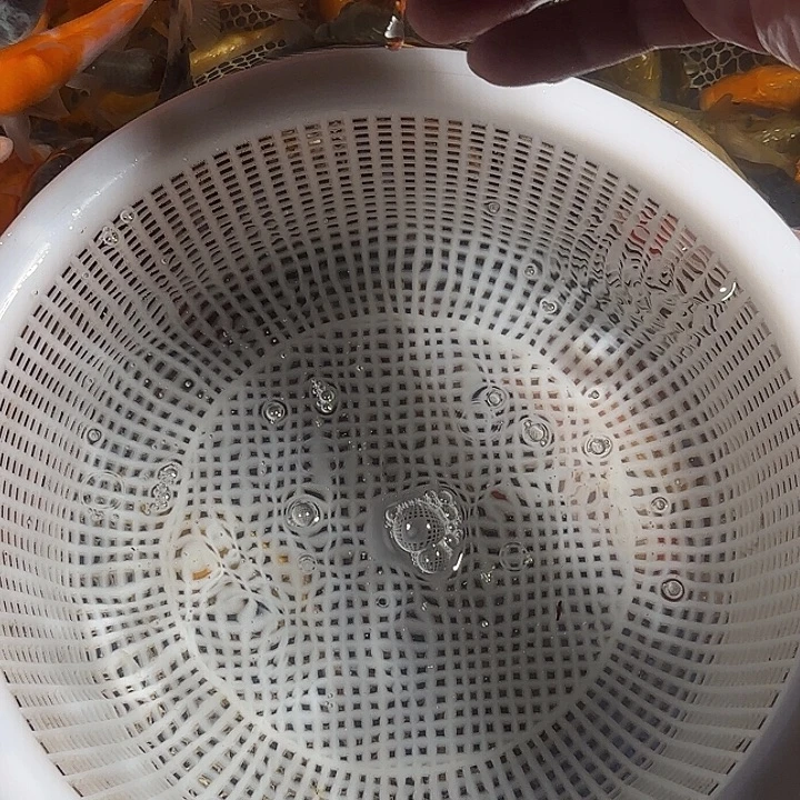 青***修海水鱼锦鲤的故事是