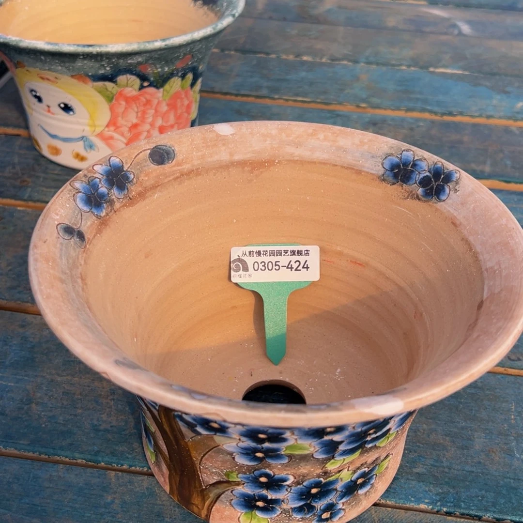 多***多从前慢多肉精选编号0305.424