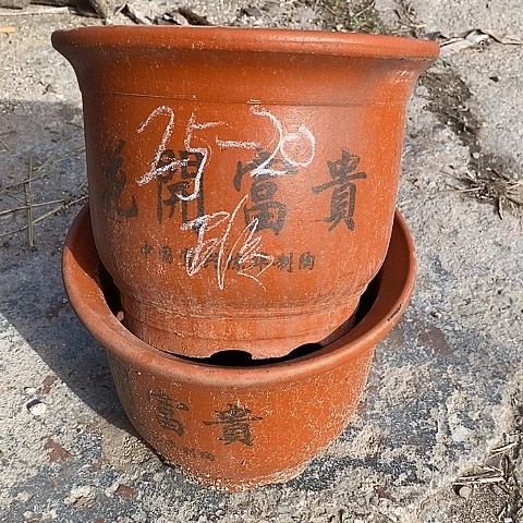 中国宜兴紫砂花盆，