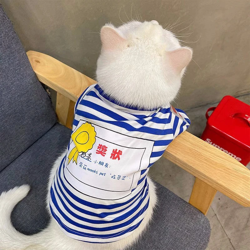 新款猫咪衣服春季薄款条纹幼小型犬猫咪蓝猫夏天网红可爱宠物衣服