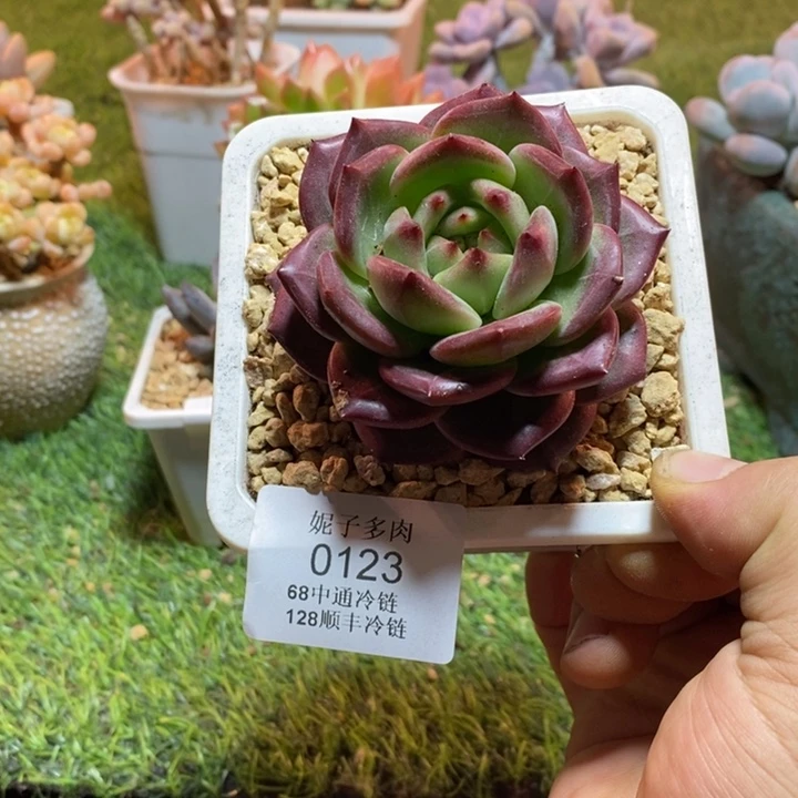 0123啊啊啊啊啊啊啊啊啊啊