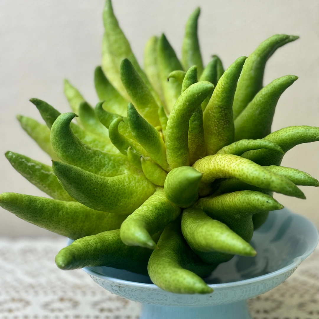 【福利】高性价比闻香微瑕佛手云南高山佛手新鲜佛手柑正宗