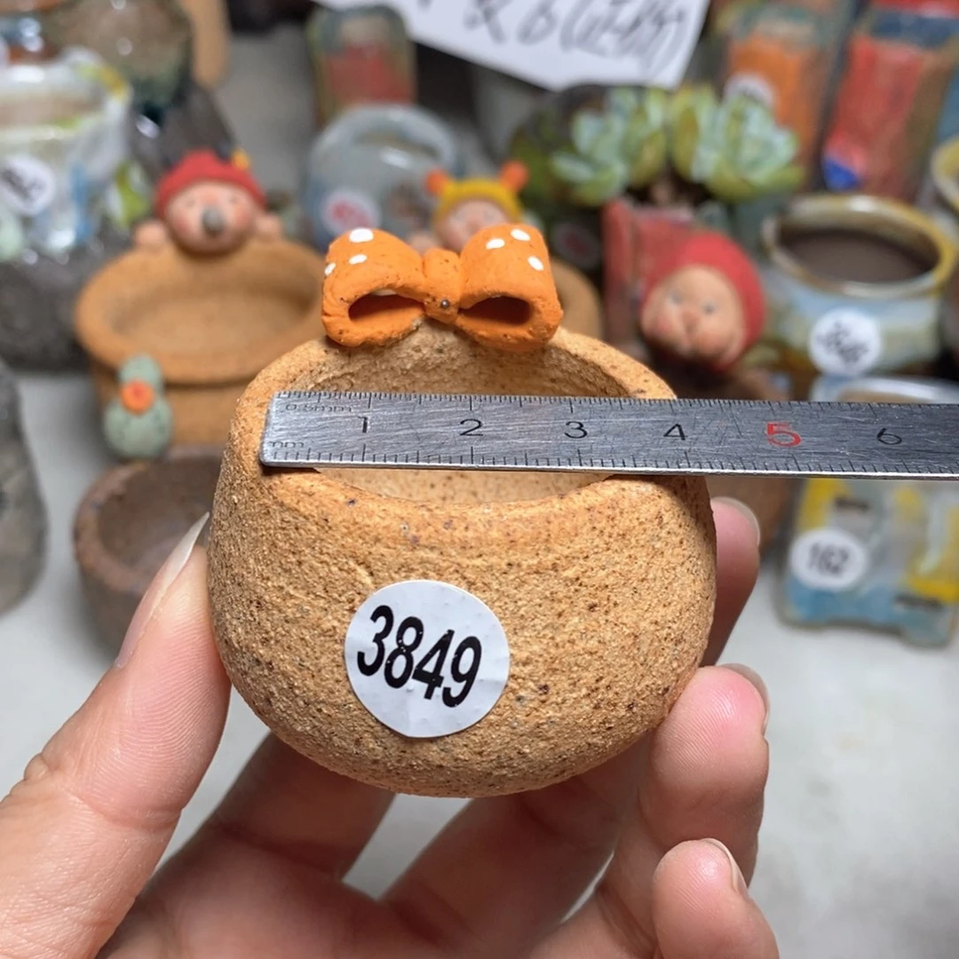 拍5送一个小礼物