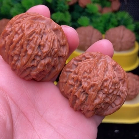 山地楼42全品11111