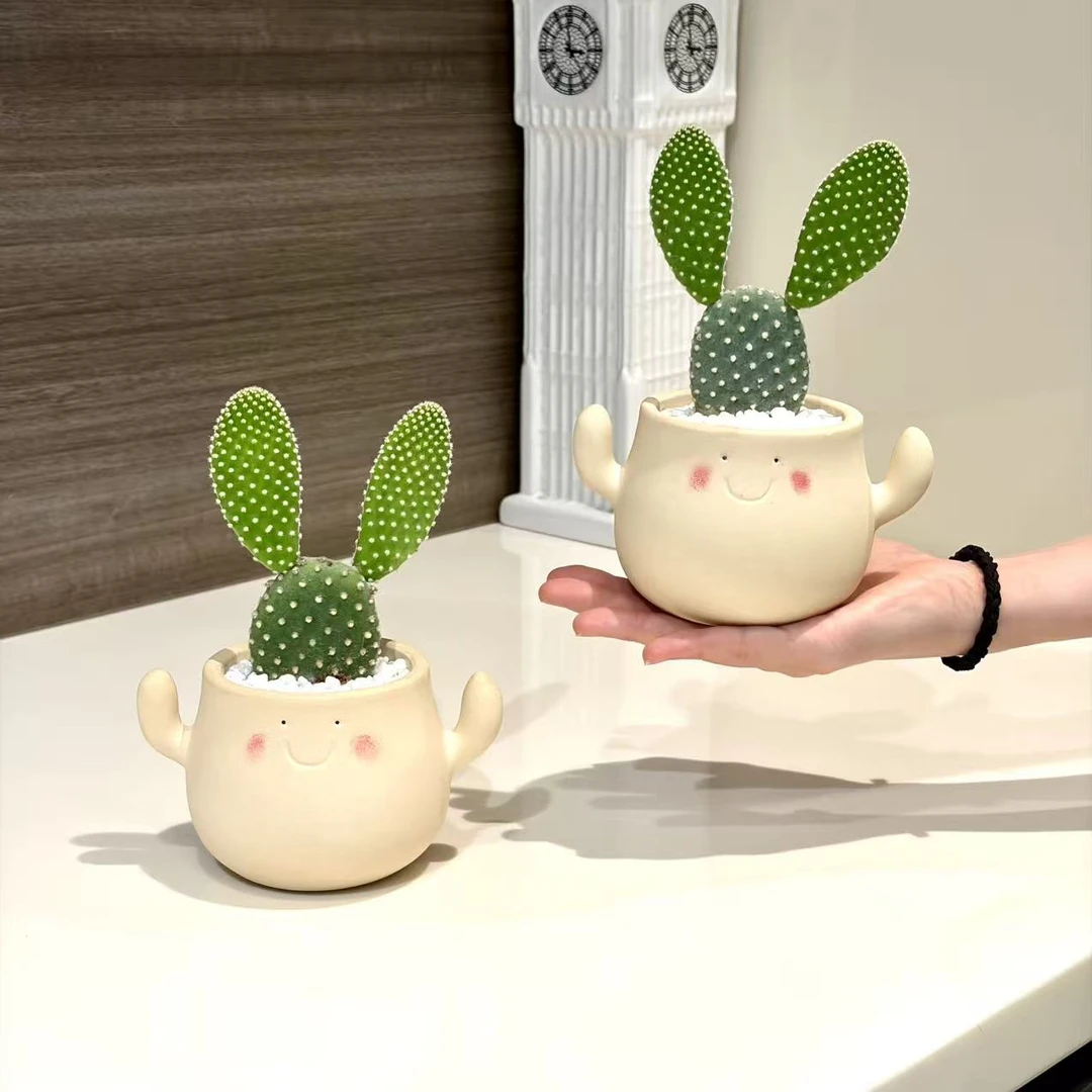 笑脸盆米奇室内绿植绿植盆栽小盆栽盆栽好看好养桌面绿植