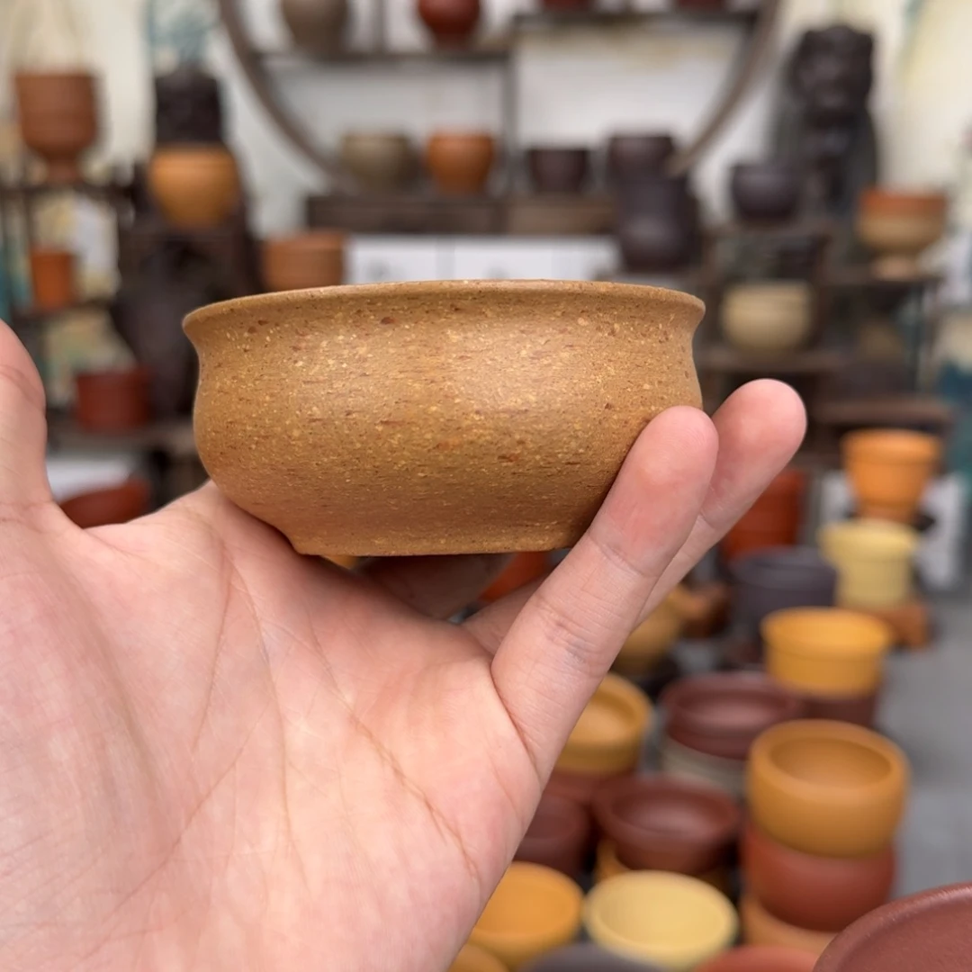 茶杯紫砂54645464554555