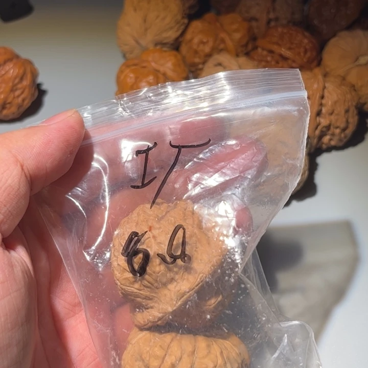 工***源桃核吊坠狮子头核桃