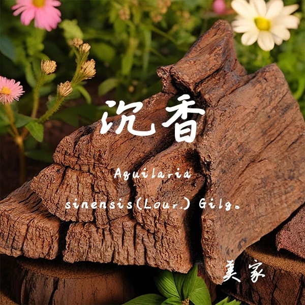 昂贵精油链接-单方精油