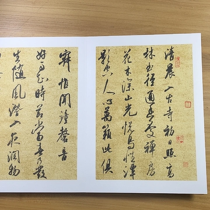 书法中书协会员作品