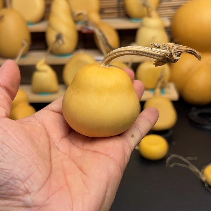 吃***糖226666666699999989