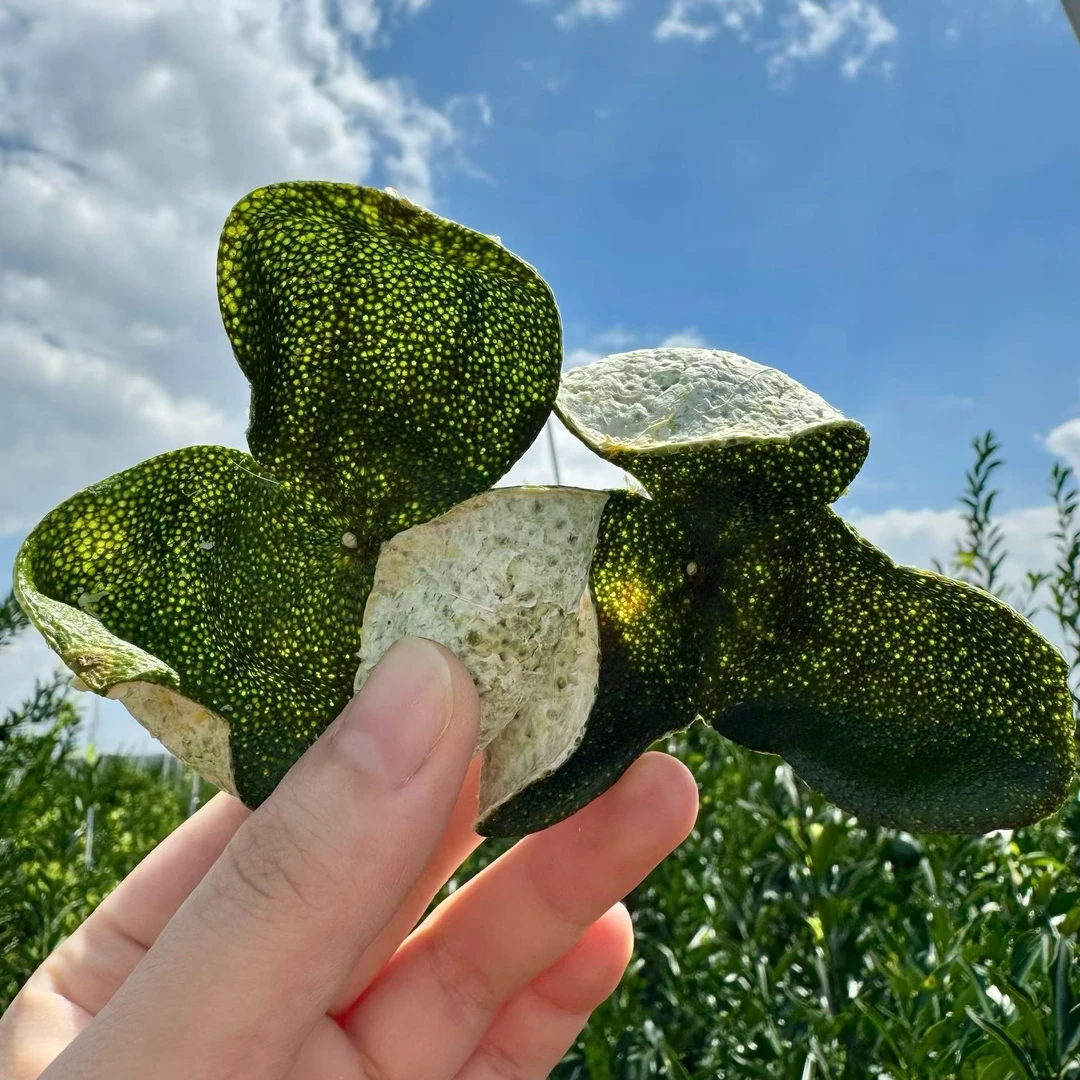 2025年新会梅江青皮