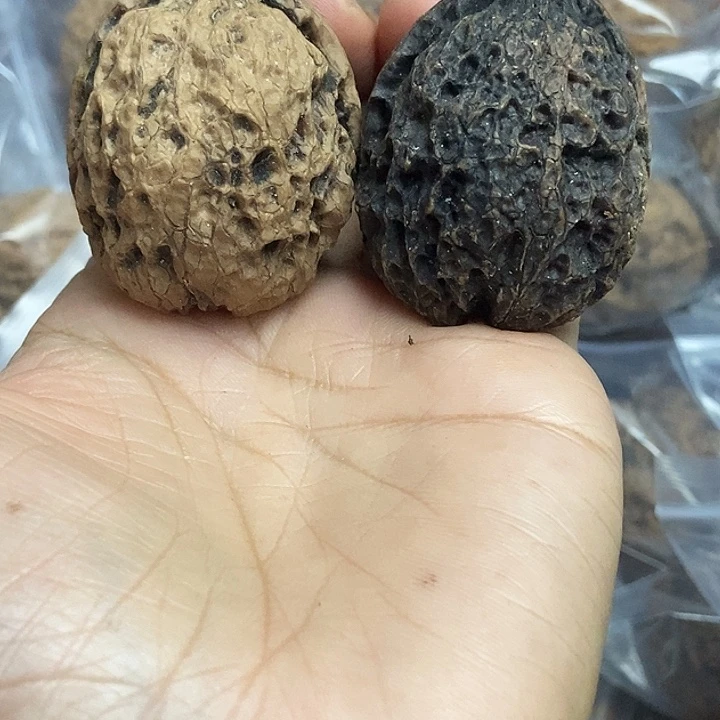 文玩核桃把件云南铁核桃基地23