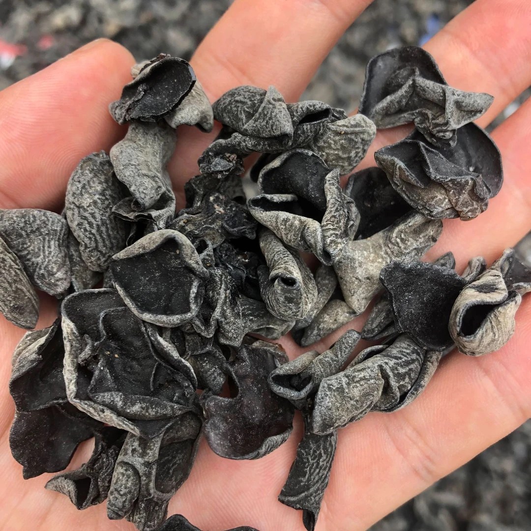 农家特产黑木耳250g