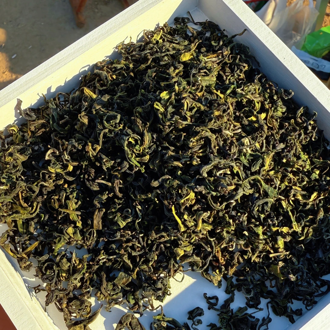 【新茶·不好喝就退】2025日照绿茶早秋茶