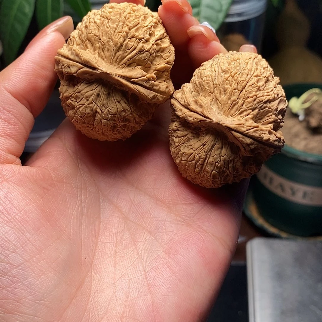 文玩核桃把件无*霸王筋