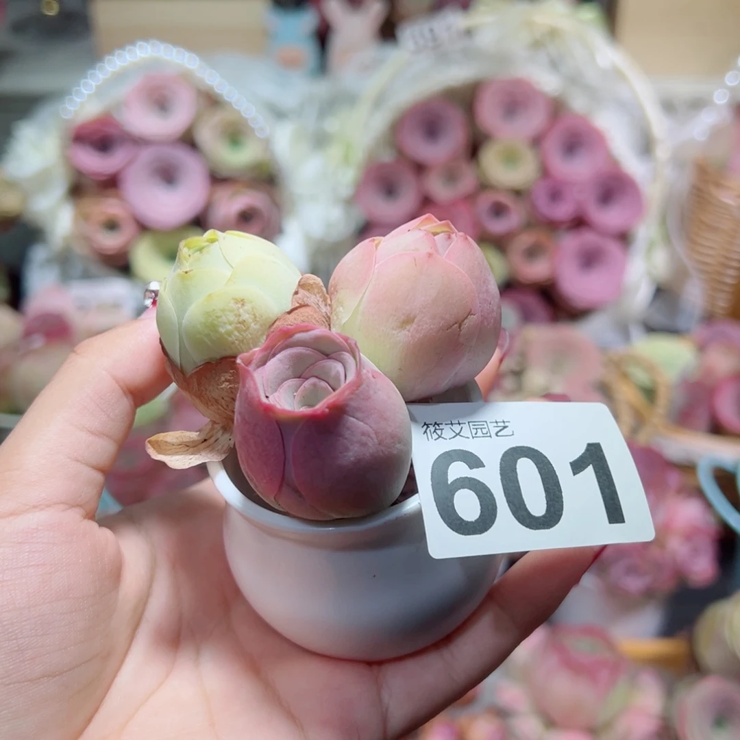 601三颗三色玫瑰组合。