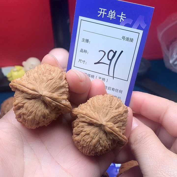 核桃42白狮子 291