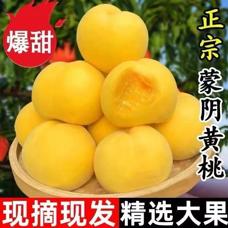 正宗山东蒙阴锦绣大黄黄桃当季应季新鲜纯甜水果桃子毛桃黄金蜜桃