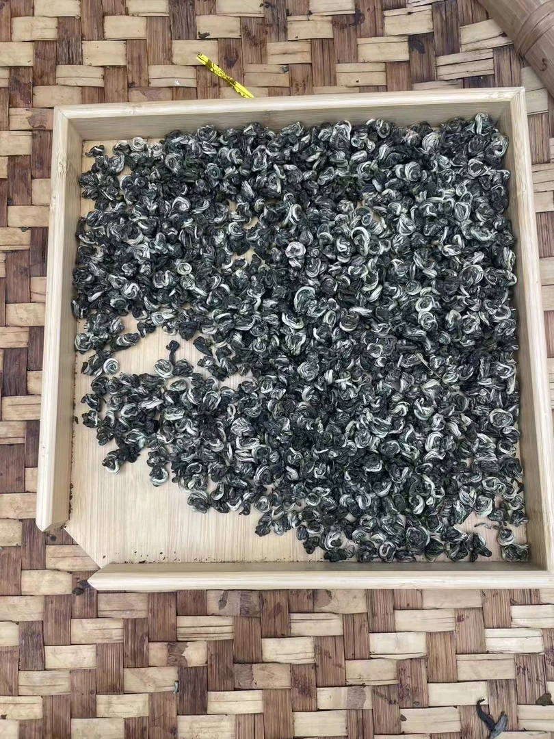 【11月22日】【MK0201】 2025年昌宁《碧云仙*绿螺》春茶绿茶散茶