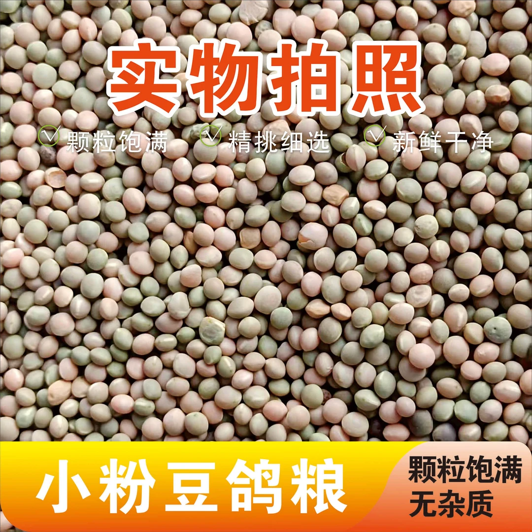 小粉豆白建豆箭舌豆赛鸽幼鸽成鸽小颗粒鸽粮