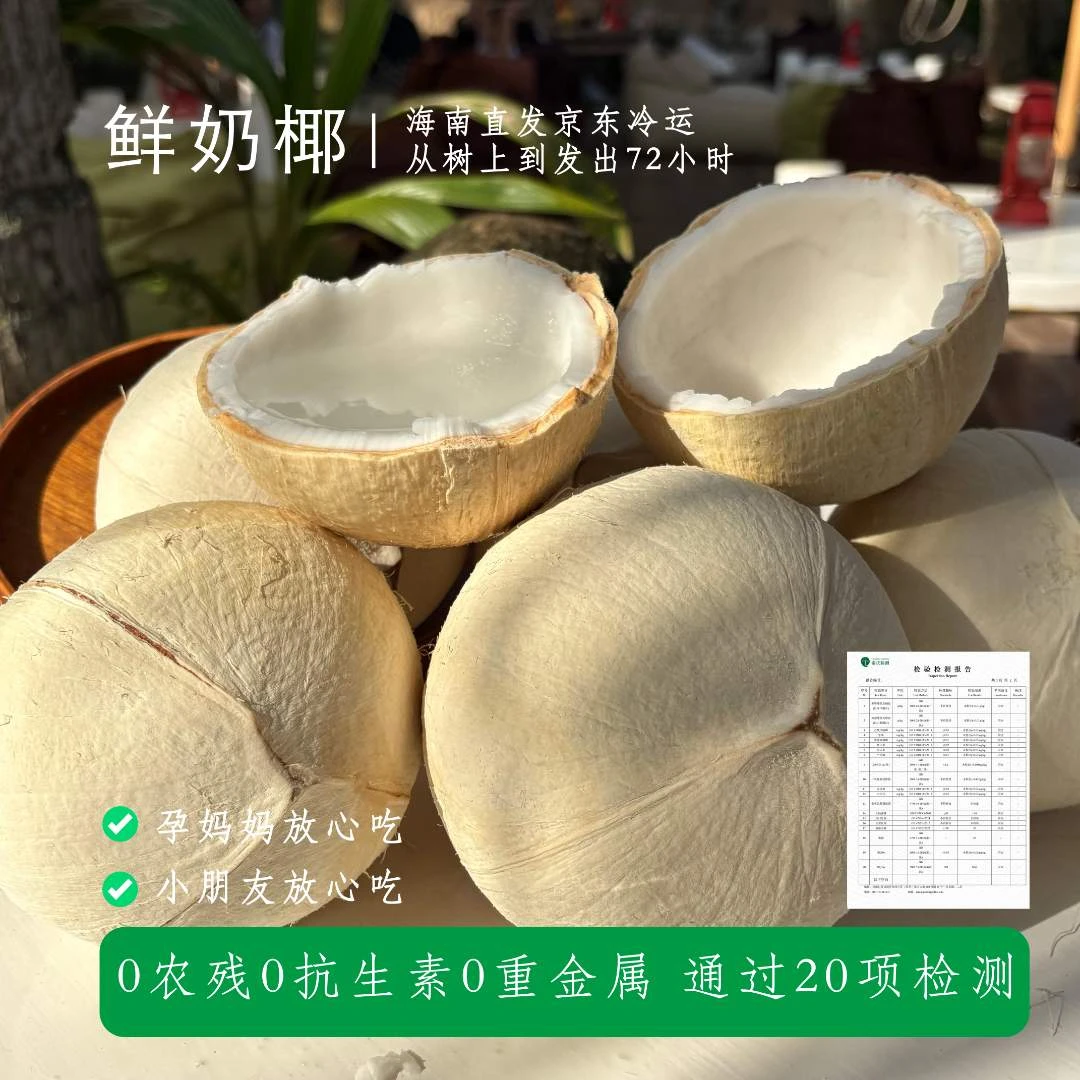 【海南厂家当天发货】海南鲜奶椰/椰皇/奶椰/椰青海南新鲜椰子孕妈