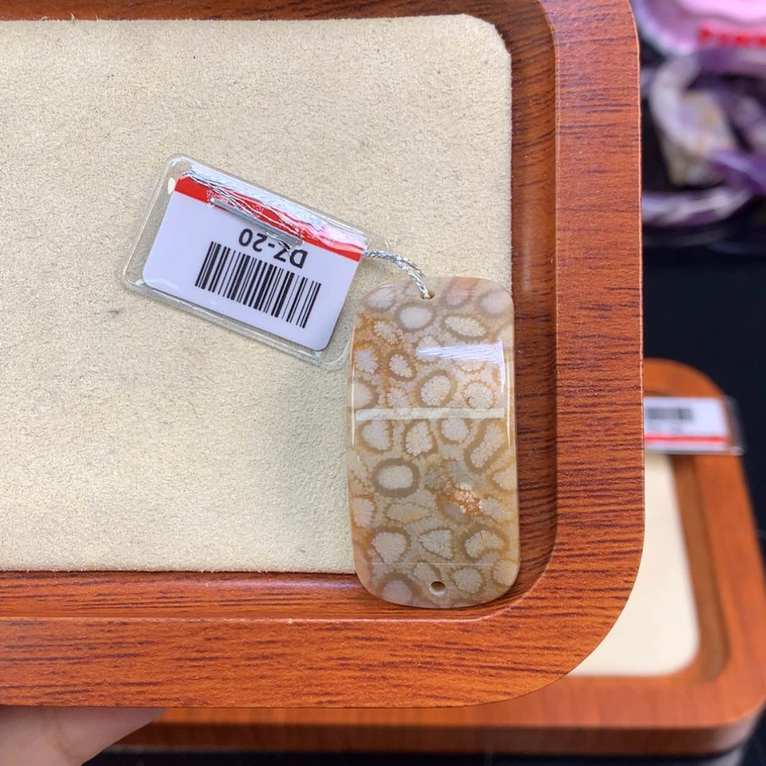 【闪购商品】颈饰未镶嵌硅化珊瑚（珊瑚玉）