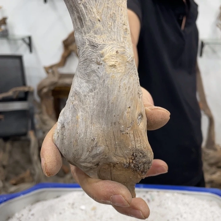 从***来我们都是好孩子呀