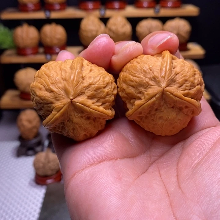 核桃云铁寿桃三棱49号